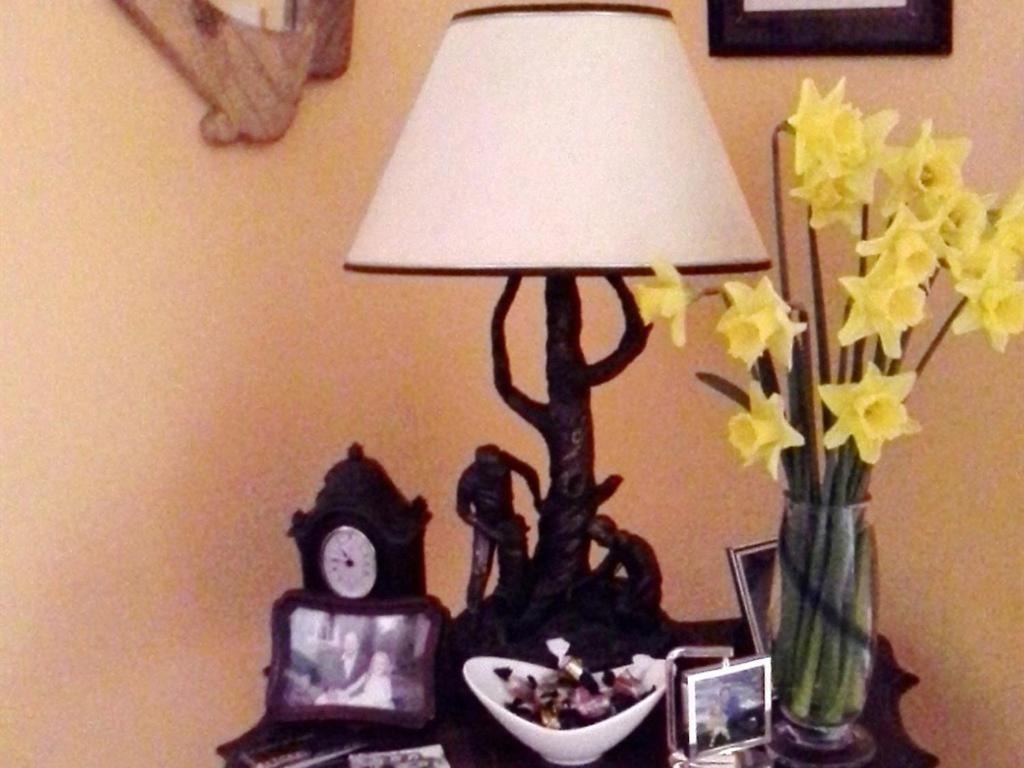 Blossom Hill Bed And Breakfast Killaloe Bagian luar foto