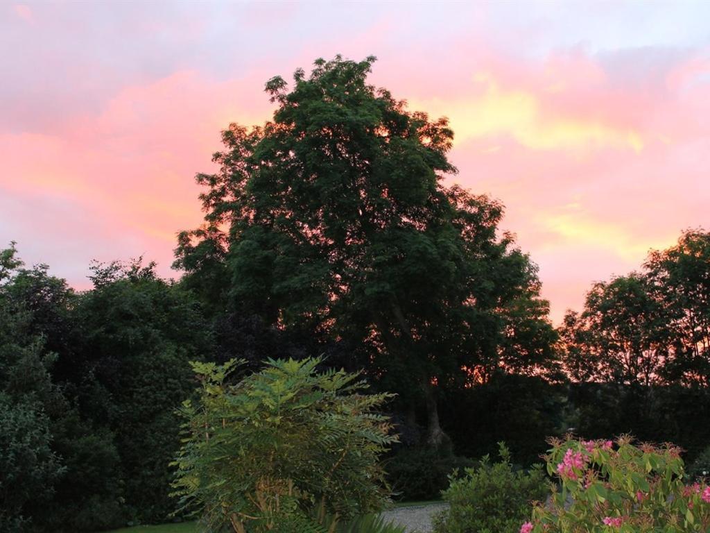 Blossom Hill Bed And Breakfast Killaloe Bagian luar foto